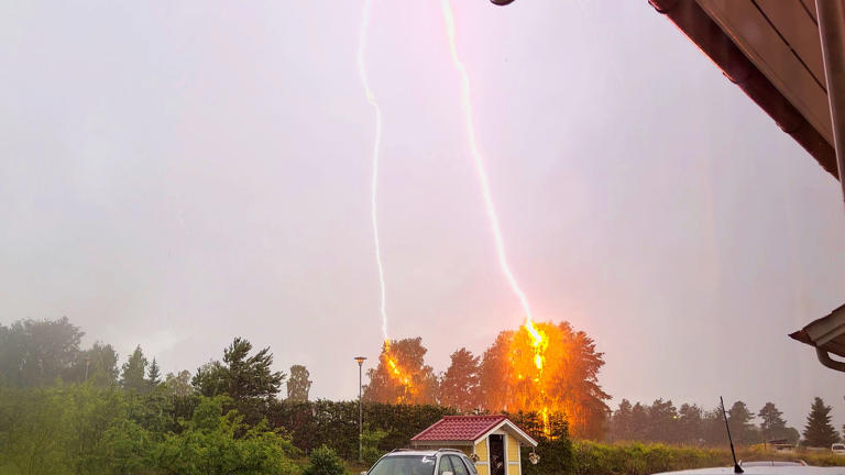 Salama iski koivut säpäleiksi Karhiniemellä